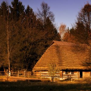 экскурсия шевченковский гай